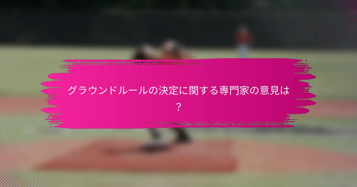グラウンドルールの決定に関する専門家の意見は？
